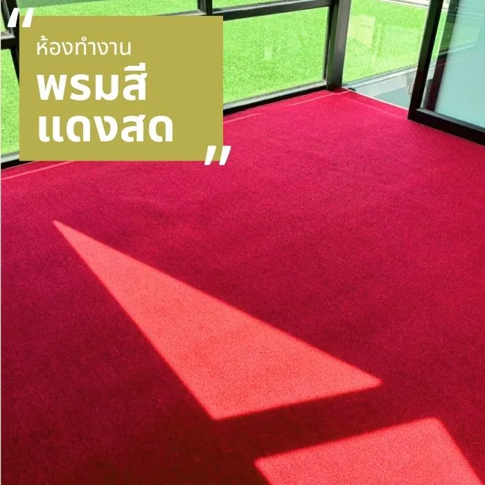 ภาพผลงาน ปูพรมแดง