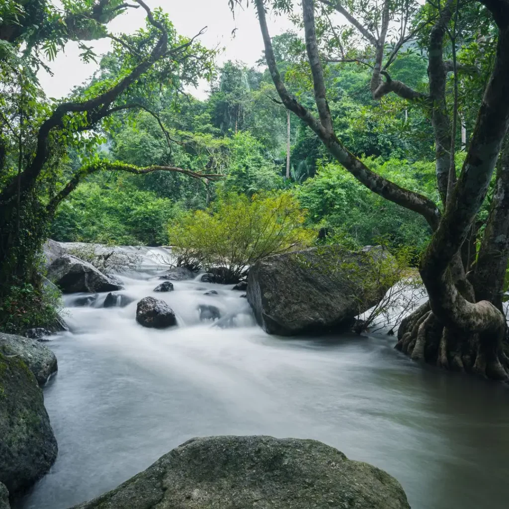 รับปูพรมจังหวัดนครนายก งานคุณภาพมาตรฐานทั่วเมือง บ้านนา ปากพลี