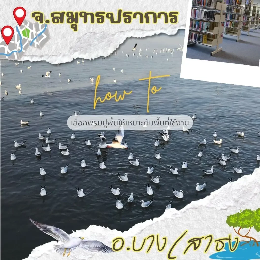 d-design สมุทรปราการ ผลิตพรมคุณภาพ พร้อมติดตั้งถึงหน้างานจริง เขตบางเสาธง–เวลโกรว์